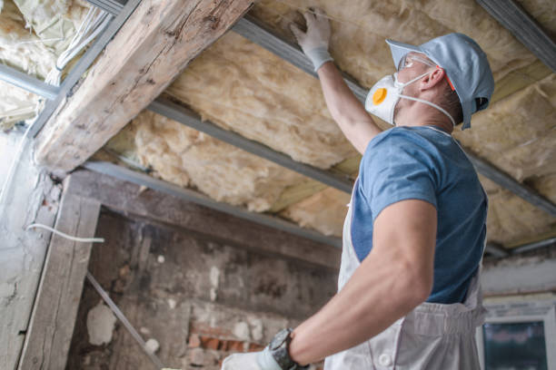 Best Commercial Insulation in Grandview, IL