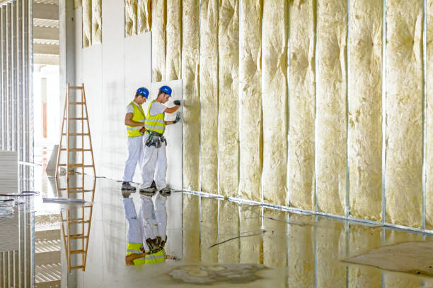 Best Fiberglass Insulation in Grandview, IL